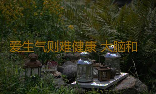 爱生气则难健康 大脑和胃肠最先受损
