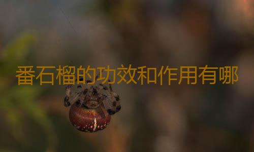 番石榴的功效和作用有哪些呢