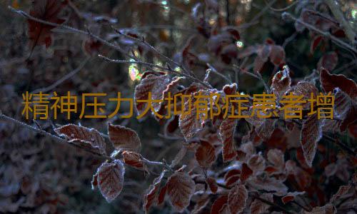 精神压力大抑郁症患者增多