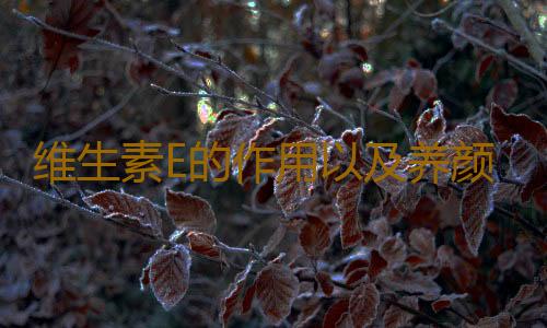 维生素E的作用以及养颜方法