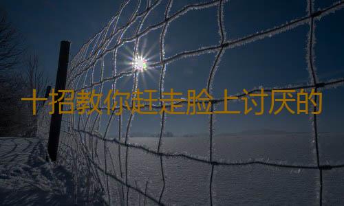 十招教你赶走脸上讨厌的痘痘