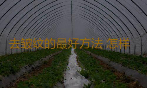 去皱纹的最好方法 怎样去皱最好呢