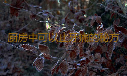 厨房中可以止牙痛的秘方