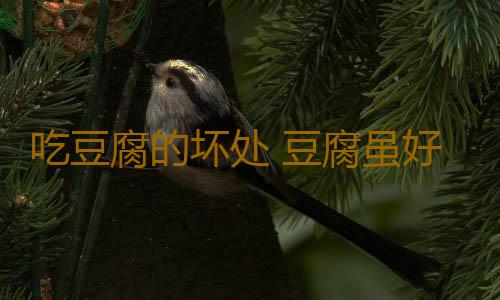 吃豆腐的坏处 豆腐虽好但别过量