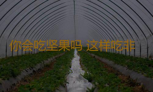 你会吃坚果吗 这样吃非但不胖 更能降脂防癌