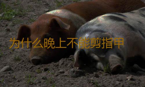 为什么晚上不能剪指甲 剪指甲的正确方法