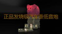 正品发烧级汽车重低音炮功放板10寸12寸大功率1000W车载音响主板