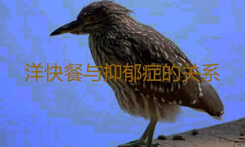 洋快餐与抑郁症的关系