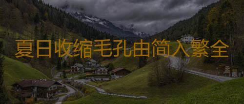 夏日收缩毛孔由简入繁全攻略
