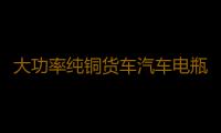 大功率纯铜货车汽车电瓶充电器12V24V伏充满自动停全智能通用型水