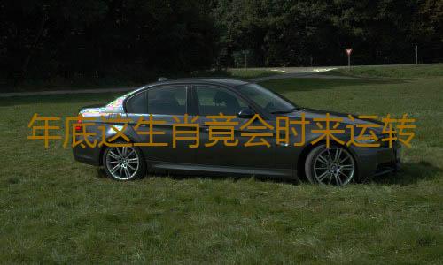 年底这生肖竟会时来运转