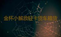 金杯小解放轻卡货车箱货领骐骐运汽车配件汽车坐垫套冰丝座垫货