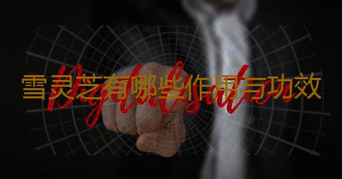 雪灵芝有哪些作用与功效呢？