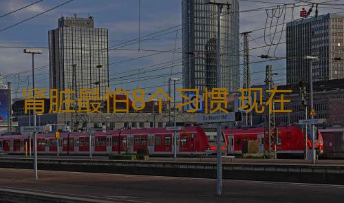 肾脏最怕8个习惯 现在改正还来得及