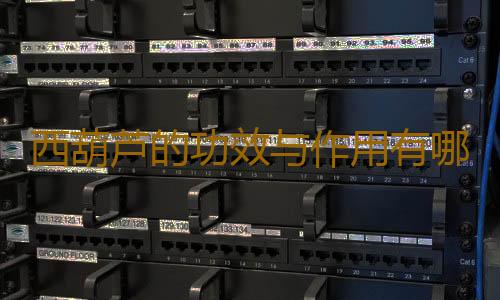 西葫芦的功效与作用有哪些呢