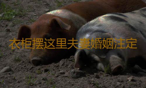 衣柜摆这里夫妻婚姻注定不长久