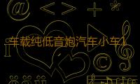 车载纯低音炮汽车小车12V大货车24V超重低音有源蓝牙功放音响改装
