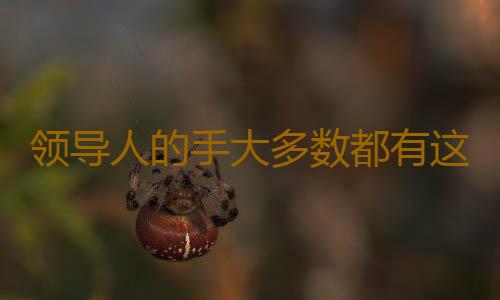 领导人的手大多数都有这特征