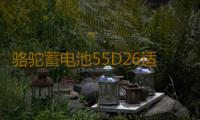 骆驼蓄电池55D26适配马自达5索纳塔凯美瑞60ah汽车电瓶 以旧换新