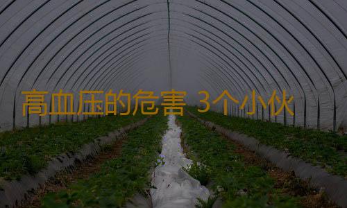 高血压的危害 3个小伙子相继险丧命竟因这事
