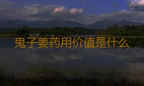 鬼子姜药用价值是什么