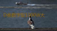 D类数字型1000W大功率发烧级超重纯低音无源双音圈低音炮功放