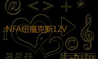 NFA纽福克斯12V 25A全自动汽车电瓶充电器蓄电池充电机 引擎启动