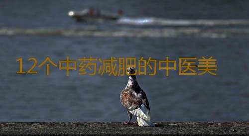 12个中药减肥的中医美容秘方